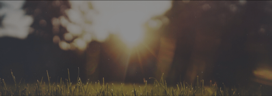 Twenty in 2020 Gratitude&nbsp;List