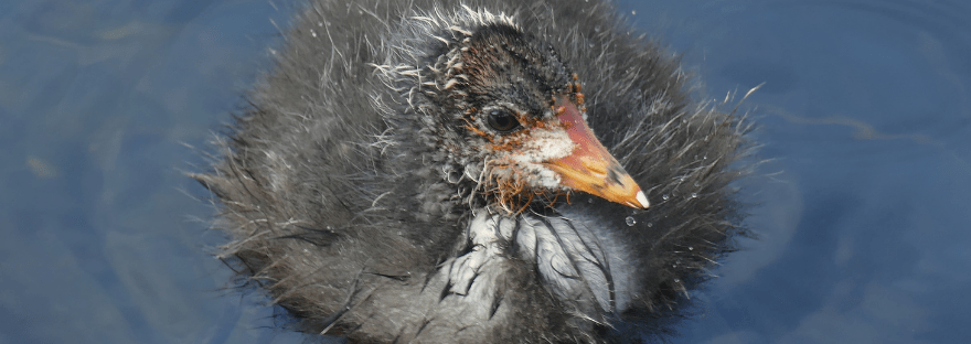 4 Ways To Beat An Ugly&nbsp;Day